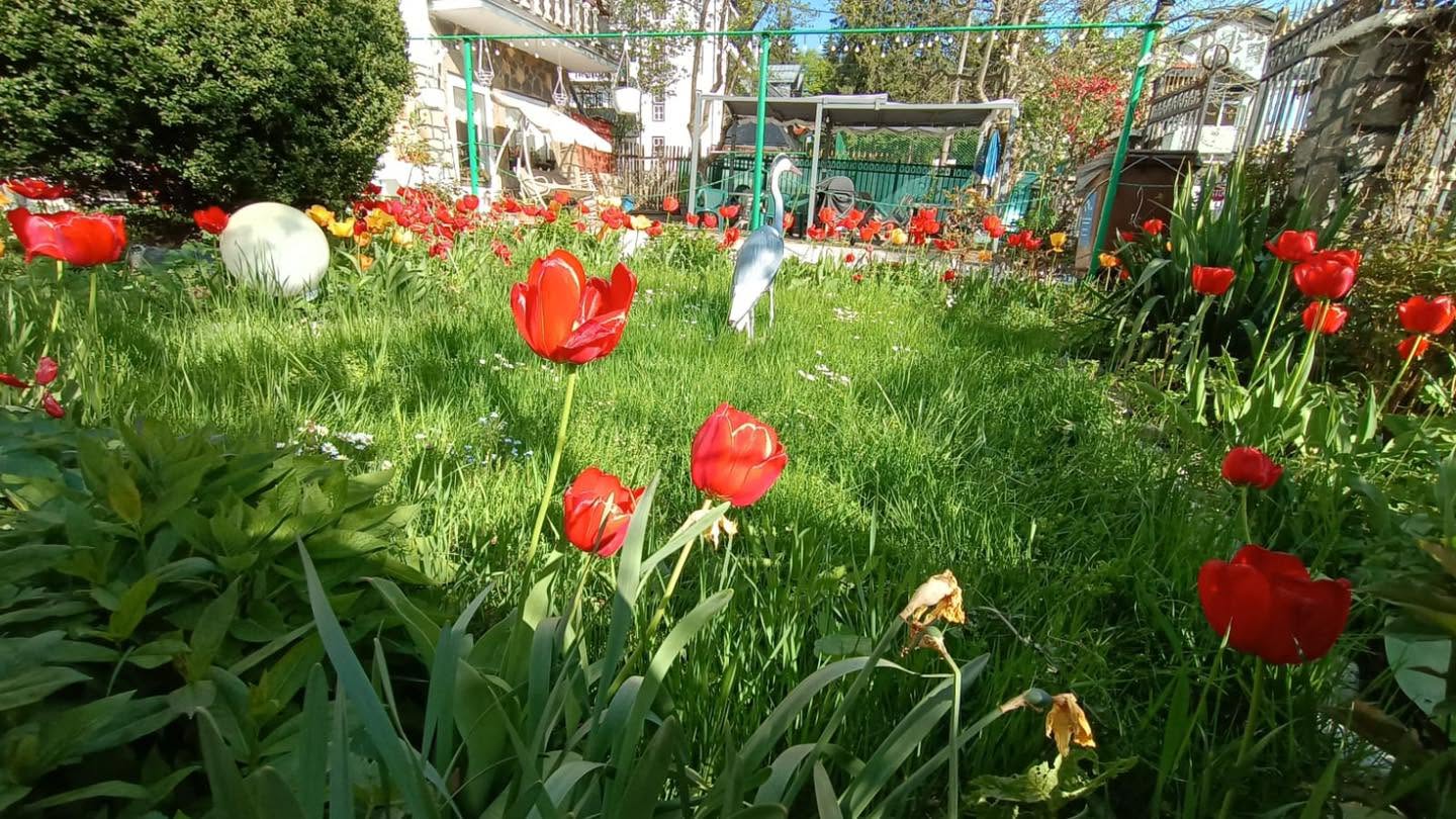 Foto Vila Casa Albă
